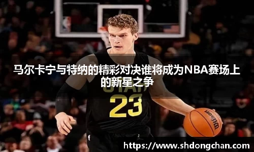 马尔卡宁与特纳的精彩对决谁将成为NBA赛场上的新星之争