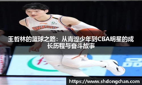 bsports必一体育