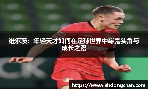 bsports必一体育