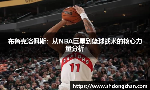 bsports官网