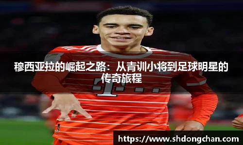 bsports必一体育