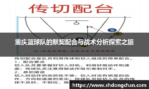 重庆篮球队的默契配合与战术分析探索之旅