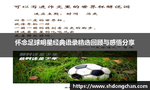 怀念足球明星经典语录精选回顾与感悟分享