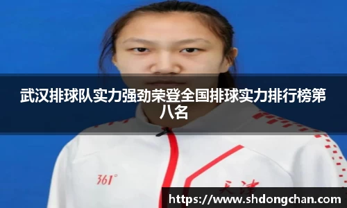 武汉排球队实力强劲荣登全国排球实力排行榜第八名